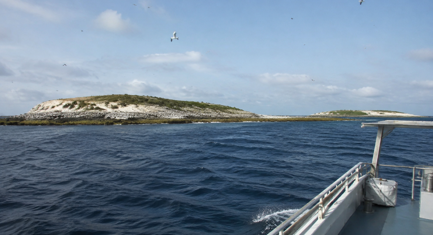 Coral Sea Expedition Finds Healthy Islands but Heat-Stressed Reefs