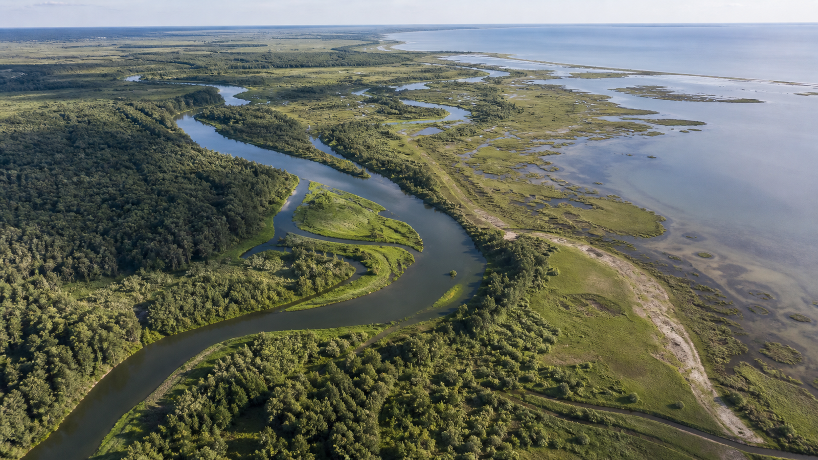 Europe’s Nature-Restoration Law Moves From Rules to National Plans